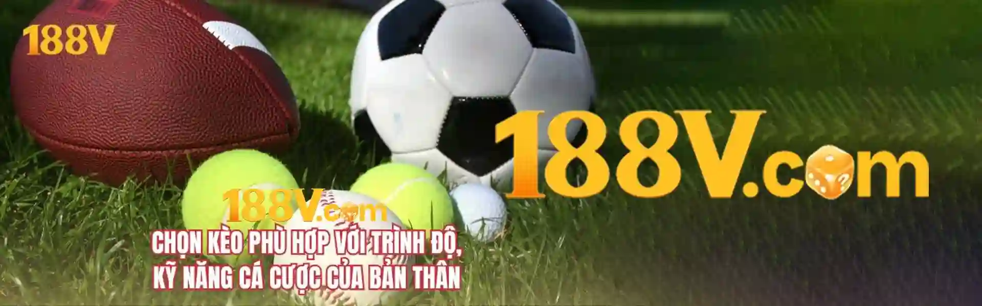 imgi 1 1921908385190420482