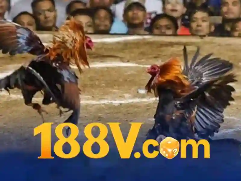 code 188v mới nhất – Phát triển và tầm nhìn tương lai code 188v mới nhất – Phát triển và tầm nhìn tương lai