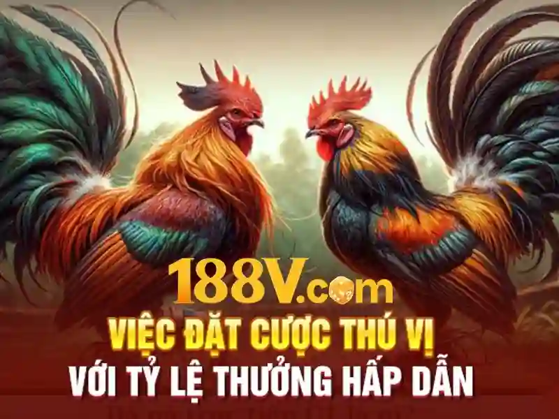 188v tải – Nền tảng đột phá cho trải nghiệm và kết nối Go88