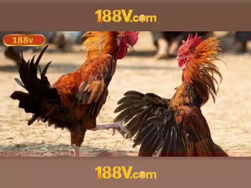 Mức độ tích hợp và mở rộng Mức độ tích hợp và mở rộng