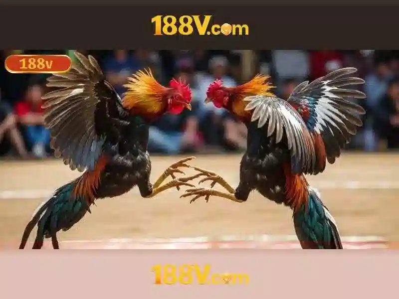 Ứng dụng và tương lai