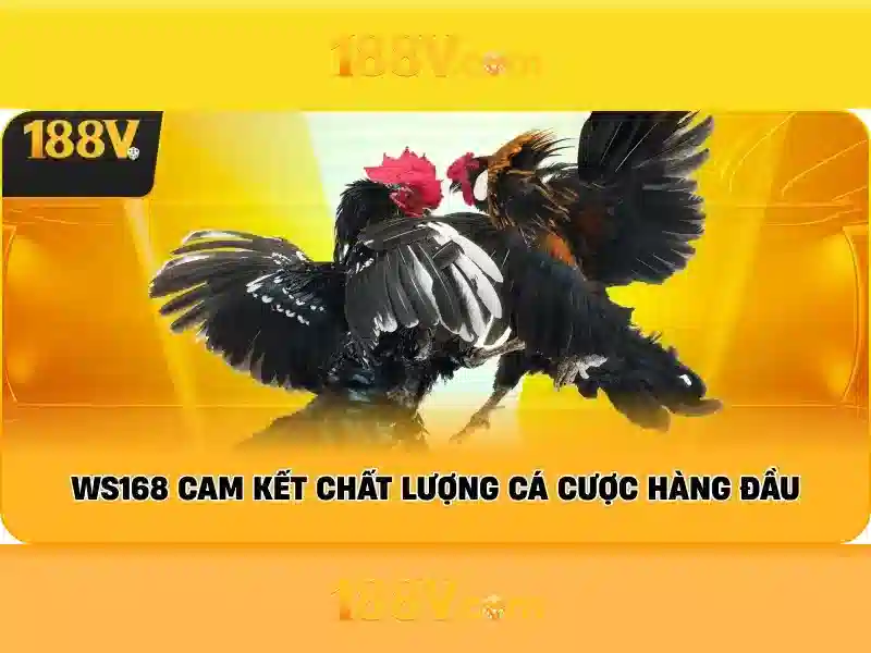 Ứng dụng trong văn hóa và đời sống Ứng dụng trong văn hóa và đời sống