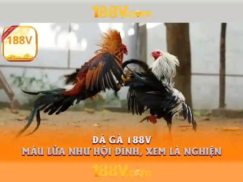 188V: Hành trình công nghệ và thiết kế Go88