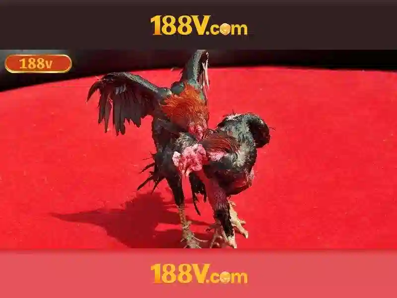 tai 188v – Giải pháp số đột phá cho cộng đồng: trải nghiệm và đánh giá 1 Đăng Nhập