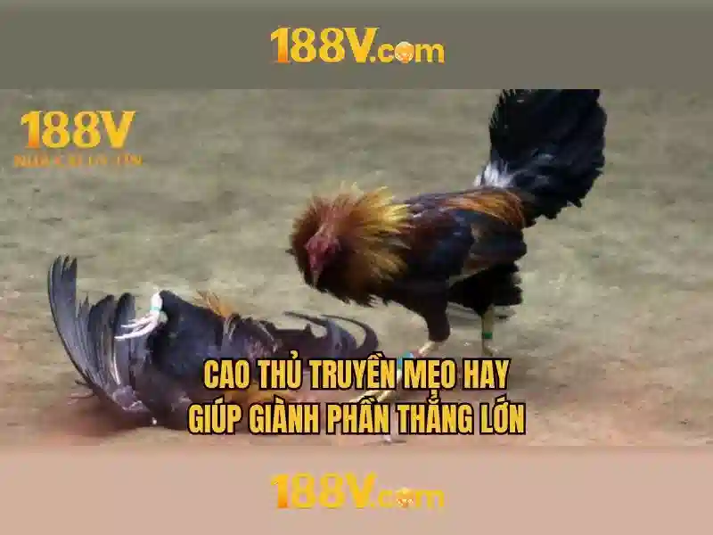 188v: một khởi nguồn và những câu chuyện 1 Đăng Nhập