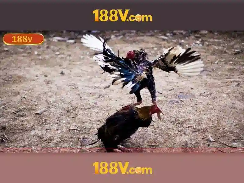 188v: một khái niệm đa tầng trong nghệ thuật và khoa học Go88
