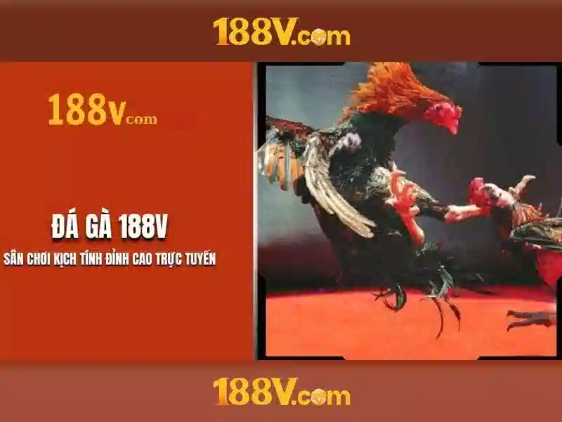 Tai 188v – Tổng quan chủ đề và giá trị cốt lõi Tai 188v – Tổng quan chủ đề và giá trị cốt lõi