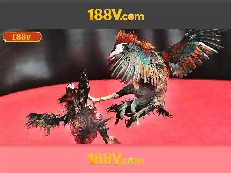 Giới thiệu về 188V Giới thiệu về 188V