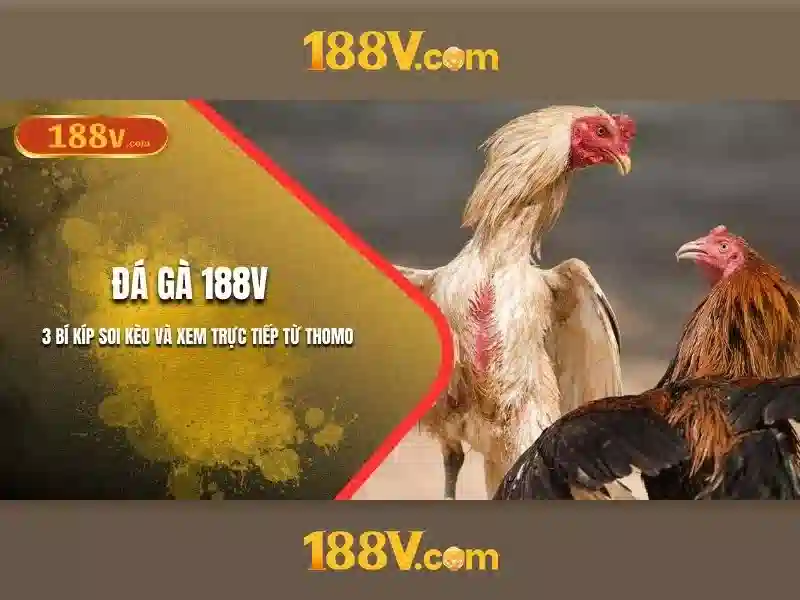 Tương lai và những câu hỏi mở
