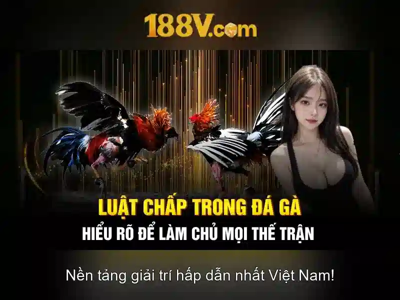 Kết luận Kết luận