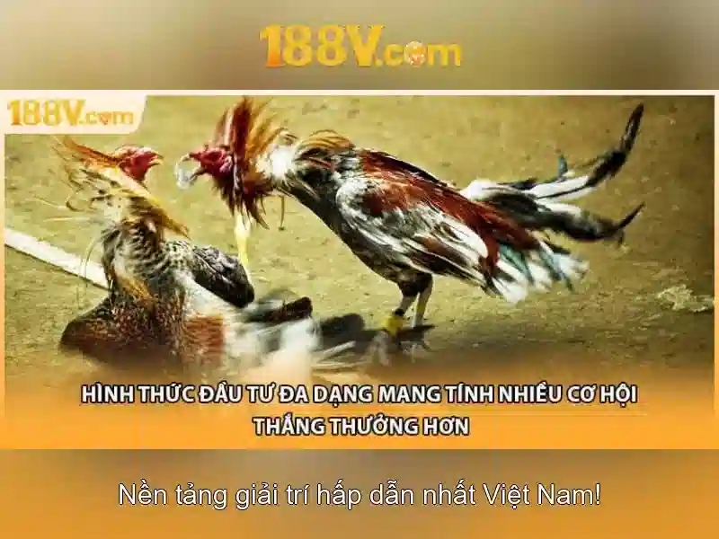 188v - một khái niệm sáng tạo trong nghệ thuật và công nghệ 1 Đăng Nhập