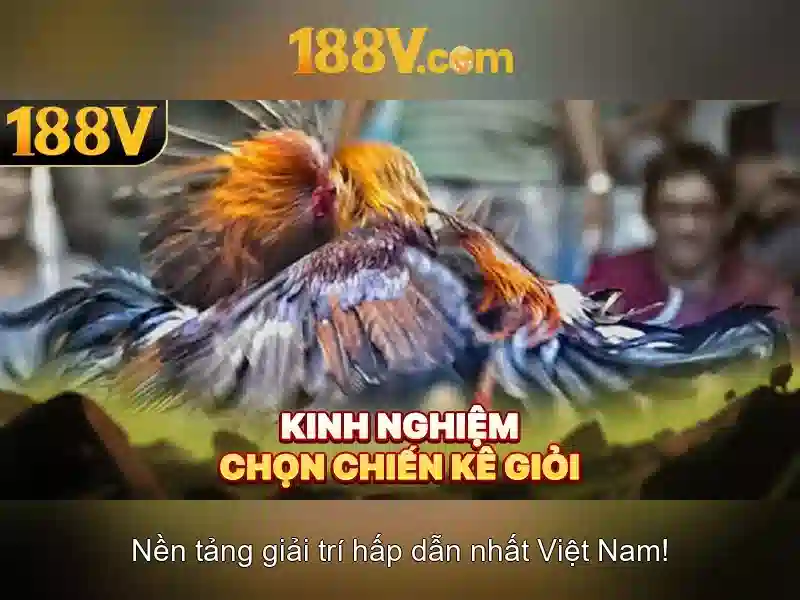 188v: khái niệm và ảnh hưởng của một biểu tượng số Go88