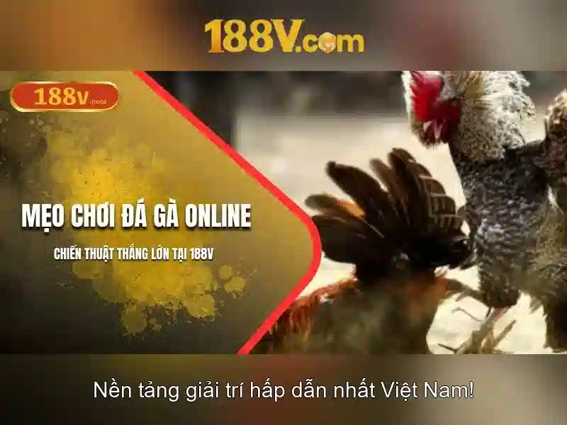 Ứng dụng và tương lai