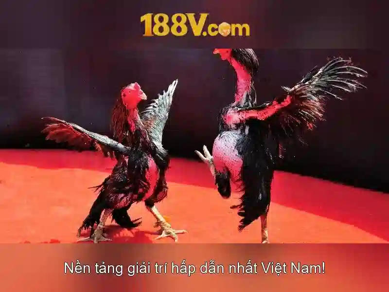 Kết luận và triển vọng của 188V