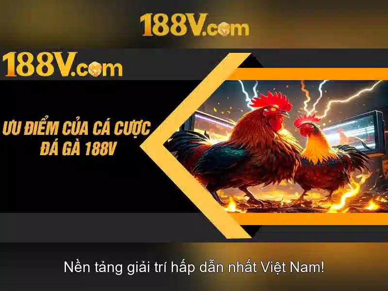 Khám phá rung động số 188v