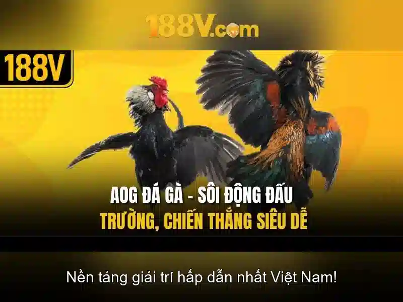 188v – một hành trình thị giác và âm thanh Go88