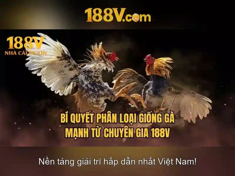 Những thách thức và cơ hội<p>Mọi nỗ lực đổi mới đều đối diện với thách thức: an toàn, chi phí, và khả năng mở rộng. 188v khuyến khích chúng ta đối mặt với những câu hỏi đạo đức và xã hội, đồng thời khai thác cơ hội để tạo ra giá trị bền vững cho cộng đồng, doanh nghiệp và cá nhân.</p>