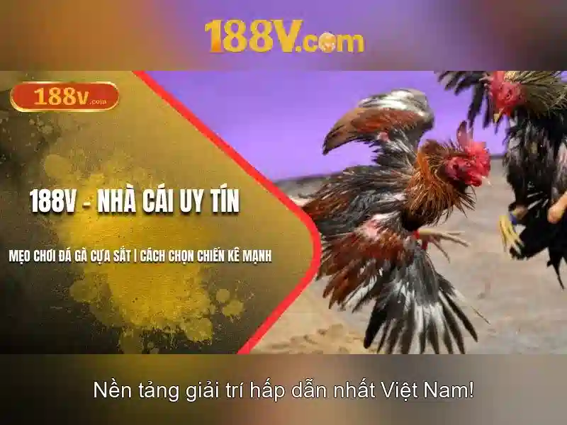 Ý nghĩa của 188V trong công nghệ hiện đại Ý nghĩa của 188V trong công nghệ hiện đại