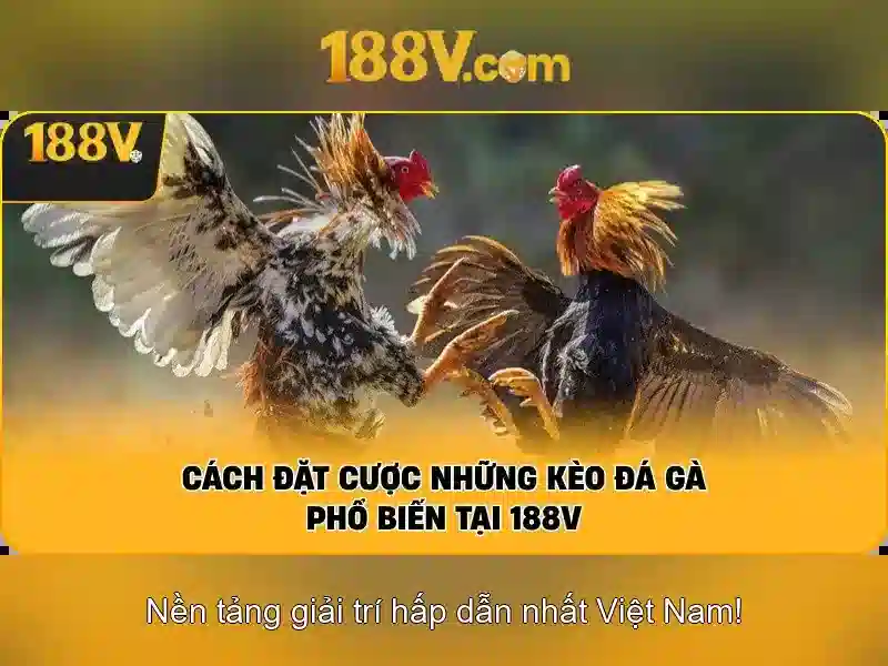 Khám phá khái niệm 188v 1 Đăng Nhập