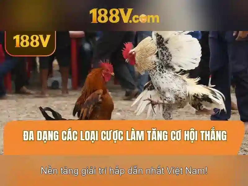 Khẩu hiệu 188v: kết nối âm thanh, ánh sáng và con người\n\n<h2>Ứng dụng và tương lai của 188v trong sáng tạo</h2>\n<p>Trong nghệ thuật, 188v có thể trở thành một điểm tham chiếu cho việc cân bằng giữa cường độ và nhịp điệu. Trong công nghệ, nó nhắc nhở về an toàn điện và hiệu quả năng lượng. Trong đời sống hàng ngày, 188v là lời nhắc nhở rằng ta có thể điều chỉnh mức độ tập trung và nhiệt huyết để đạt được hiệu quả bền vững.</p>\n\n<h2>Kết luận: 188v như một lời nhắc nhở về sự bền bỉ</h2>\n<p>Khi nhìn lại hành trình của 188v, chúng ta thấy rằng thành công không chỉ là đạt được mục tiêu mà còn là duy trì sự kết nối giữa đam mê và thói quen. 188v mời gọi mỗi người nhận thức rõ năng lực của mình, thử thách giới hạn và nuôi dưỡng sáng tạo mỗi ngày.</p> Khẩu hiệu 188v: kết nối âm thanh, ánh sáng và con người\n\n<h2>Ứng dụng và tương lai của 188v trong sáng tạo</h2>\n<p>Trong nghệ thuật, 188v có thể trở thành một điểm tham chiếu cho việc cân bằng giữa cường độ và nhịp điệu. Trong công nghệ, nó nhắc nhở về an toàn điện và hiệu quả năng lượng. Trong đời sống hàng ngày, 188v là lời nhắc nhở rằng ta có thể điều chỉnh mức độ tập trung và nhiệt huyết để đạt được hiệu quả bền vững.</p>\n\n<h2>Kết luận: 188v như một lời nhắc nhở về sự bền bỉ</h2>\n<p>Khi nhìn lại hành trình của 188v, chúng ta thấy rằng thành công không chỉ là đạt được mục tiêu mà còn là duy trì sự kết nối giữa đam mê và thói quen. 188v mời gọi mỗi người nhận thức rõ năng lực của mình, thử thách giới hạn và nuôi dưỡng sáng tạo mỗi ngày.</p>