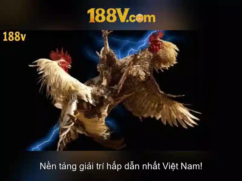 188V: Khai niem, ung dung va an toan Go88