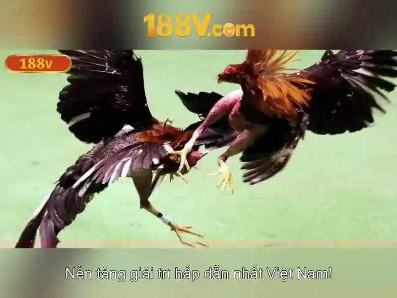 188V: Năng lượng của ý tưởng 1 Đăng Nhập