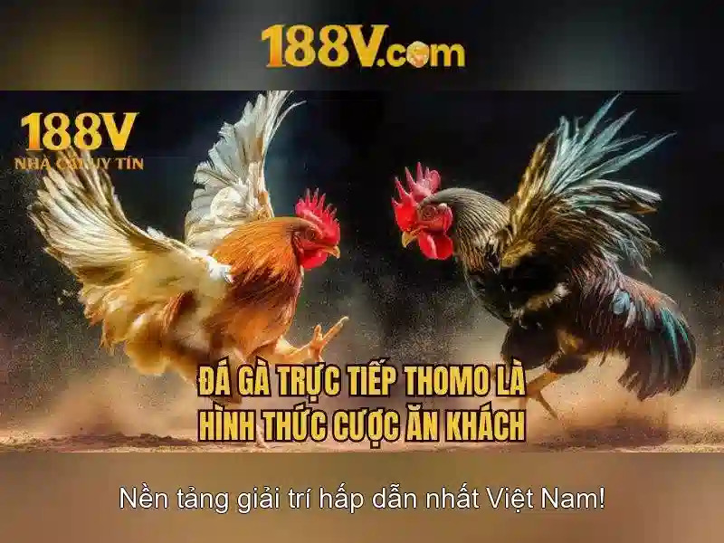 188V: Khái niệm và ứng dụng của điện áp 188V Go88
