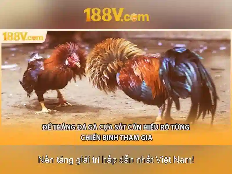 Nguồn gốc và ý nghĩa