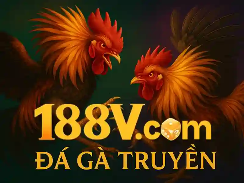 Trải nghiệm người dùng và phản hồi của cộng đồng