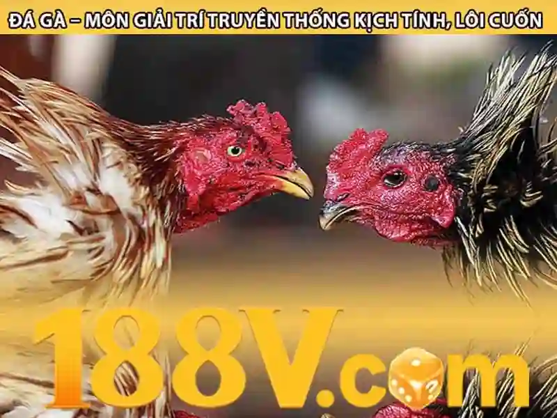 188v: Hành trình của ánh sáng và năng lượng Go88