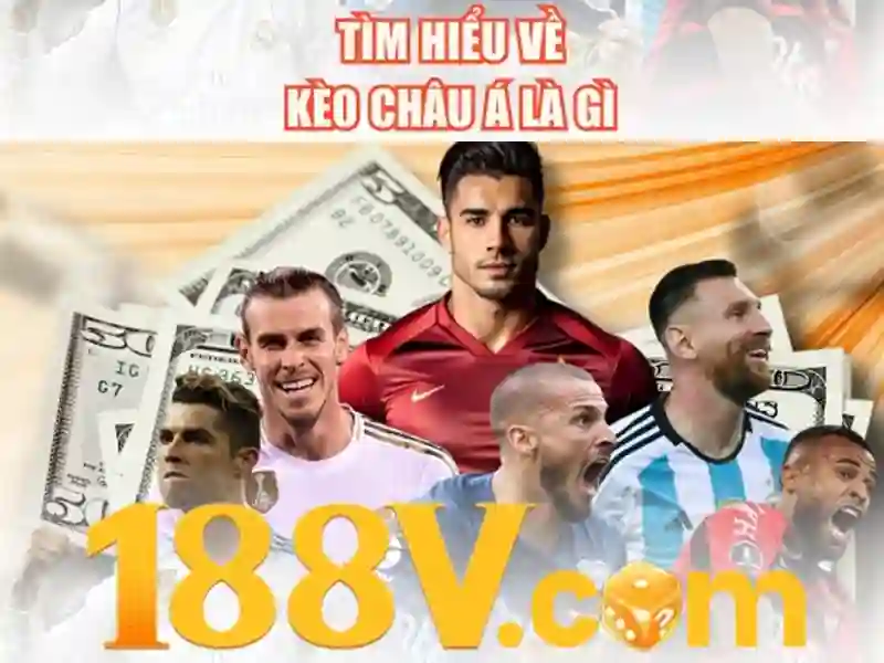 Trải nghiệm người dùng và phản hồi cộng đồng