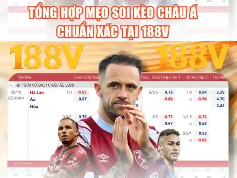 Trải nghiệm người dùng và phản hồi