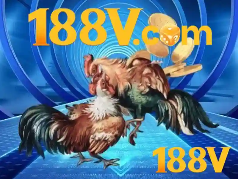 Đánh giá 188v: Trải nghiệm và giá trị sản phẩm nổi bật 1 Đăng Nhập