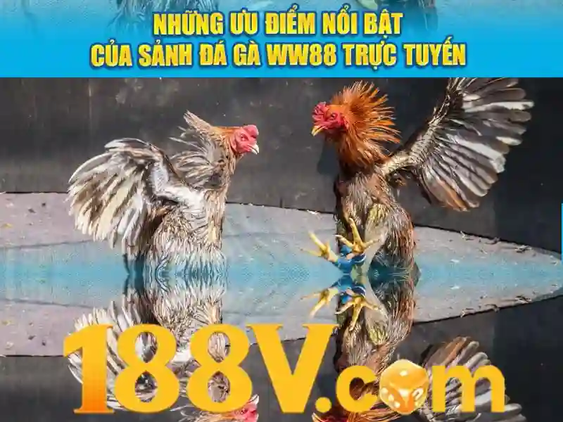 Sản phẩm và dịch vụ cốt lõi của 188v official